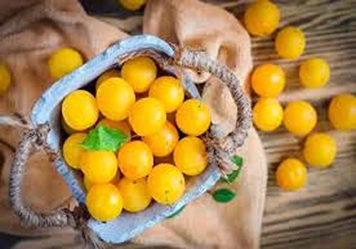 تصویر 2 از خرید و قیمت آلو بخارا اصل + فروش عمده